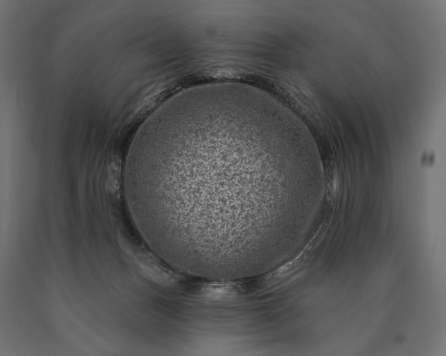 X0000090730175200708031532