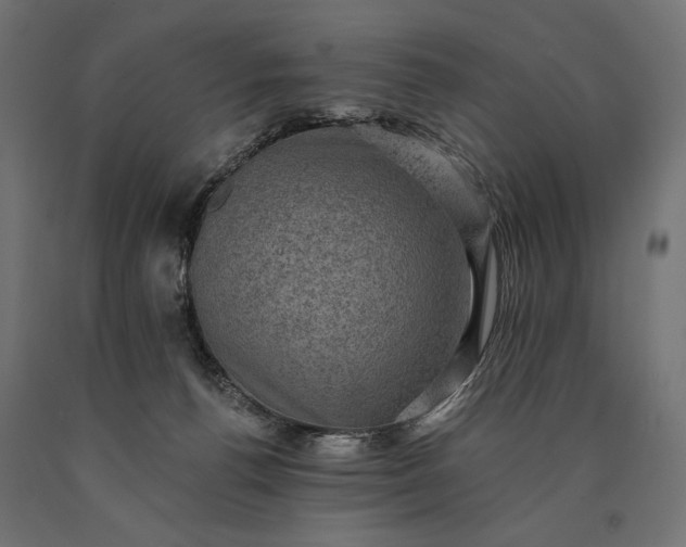 X0000090730176200708031532