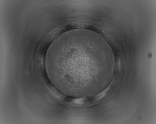 X0000090730178200708031532