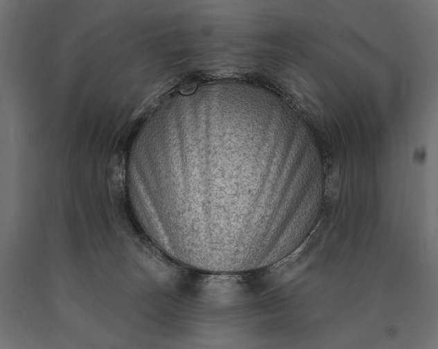 X0000090730179200708031532