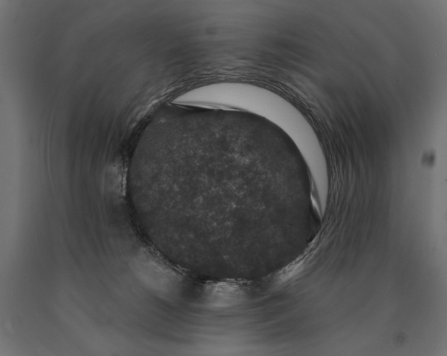 X0000090730180200708031532