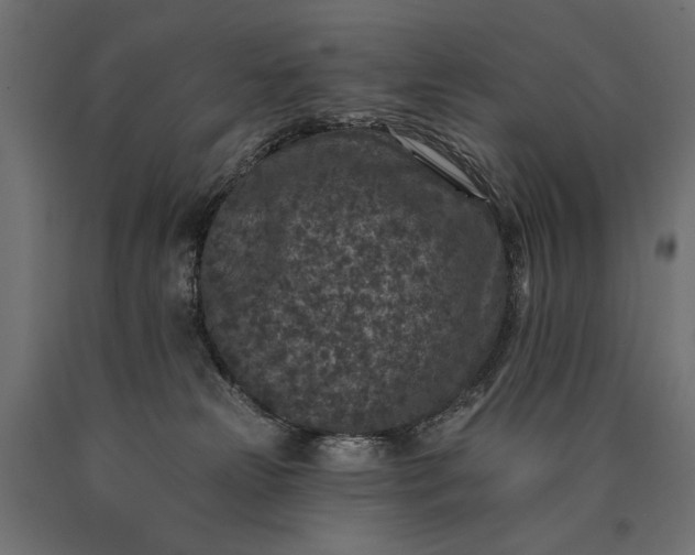 X0000090730181200708031532