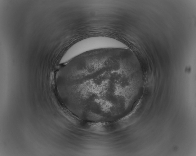 X0000090730182200708031532