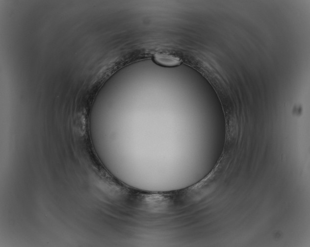 X0000090730183200708031532