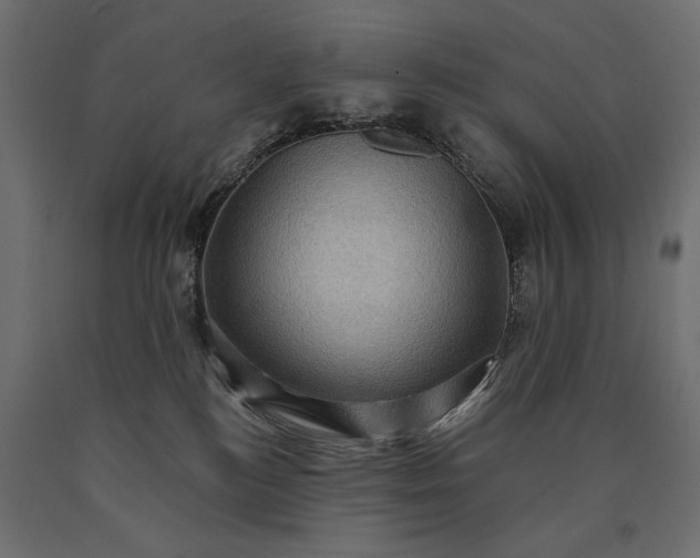 X0000090730184200708031532