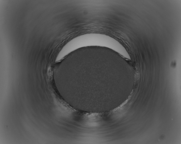 X0000090730186200708031532