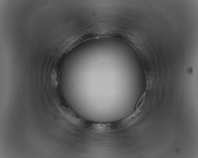 X0000090730187200708031532