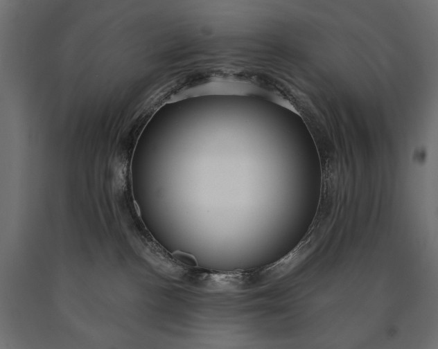 X0000090730188200708031532