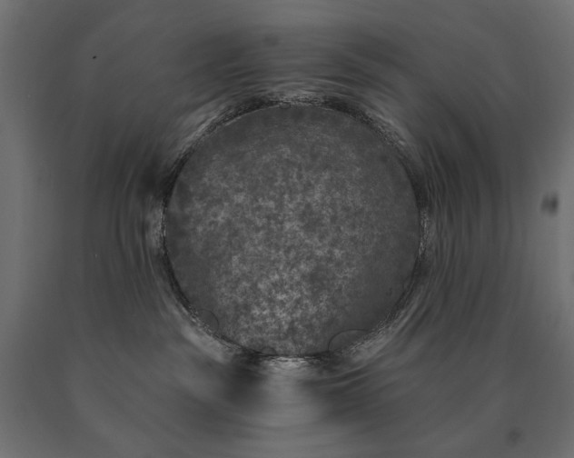 X0000090730189200708031532