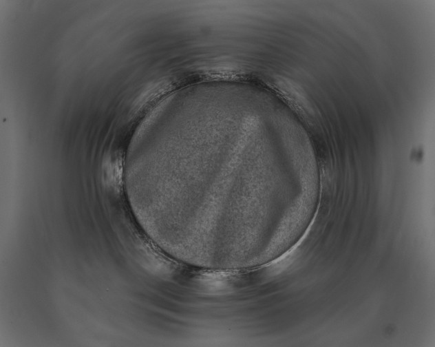 X0000090730190200708031532