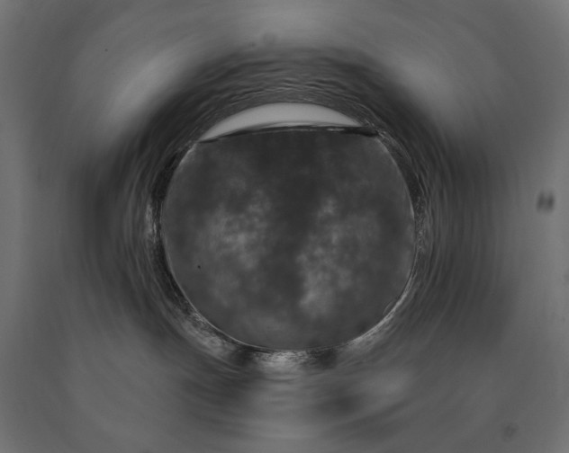 X0000090730191200708031532