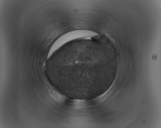 X0000090730192200708031532