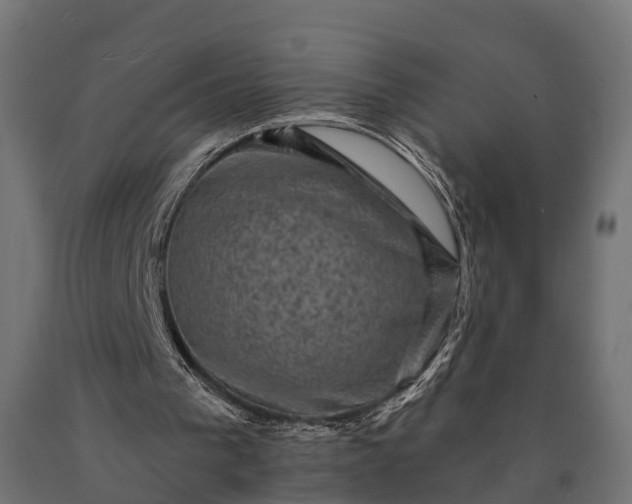 X0000090730193200708031531