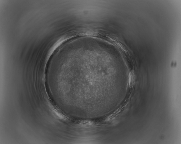 X0000090730195200708031531