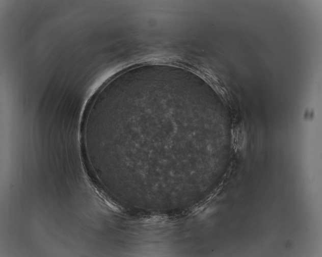 X0000090730196200708031531