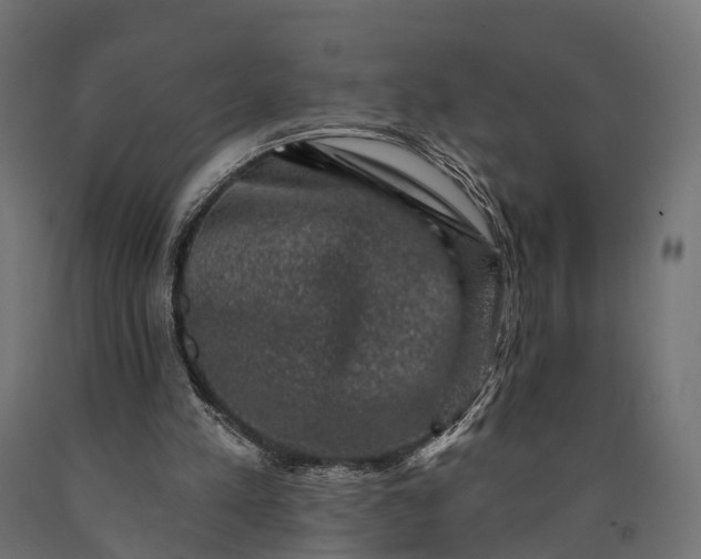 X0000090730197200708031531