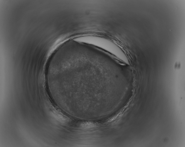 X0000090730198200708031531