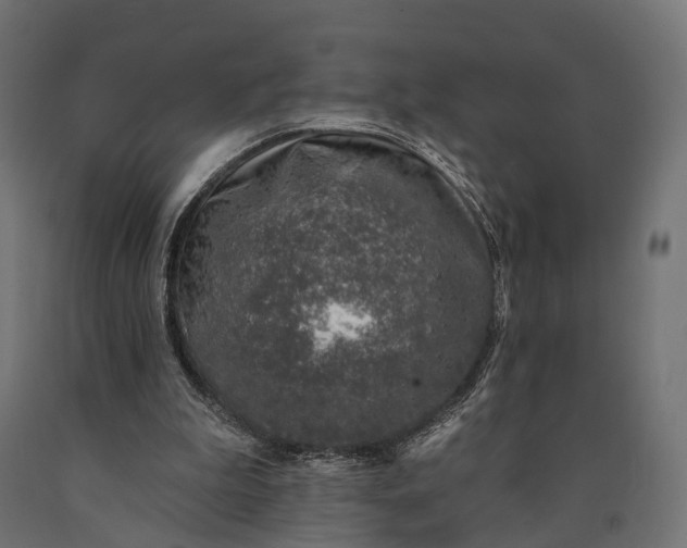 X0000090730199200708031531