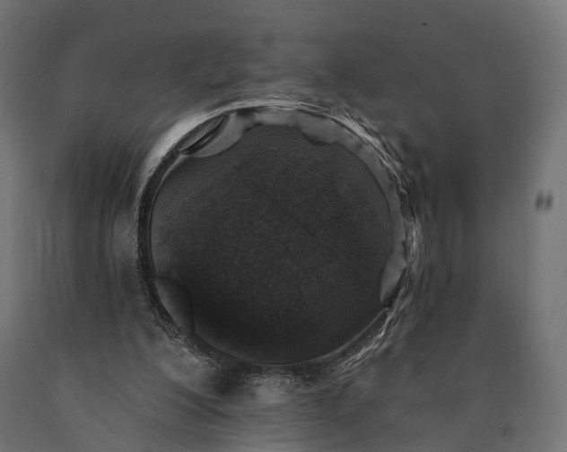 X0000090730200200708031531