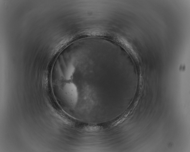 X0000090730202200708031531