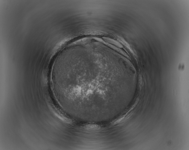 X0000090730203200708031531