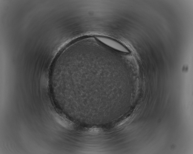 X0000090730204200708031531