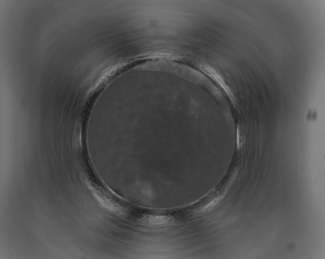 X0000090730205200708031531