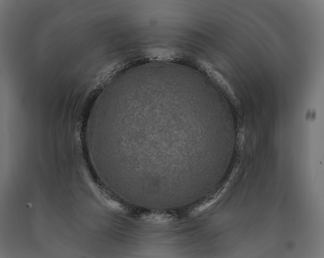 X0000090730209200708031531