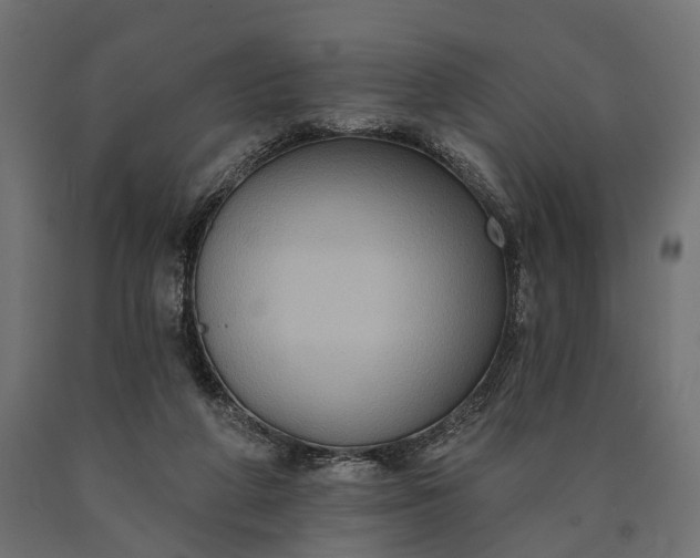 X0000090730210200708031531