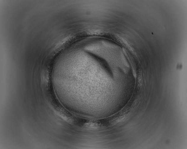 X0000090730211200708031531