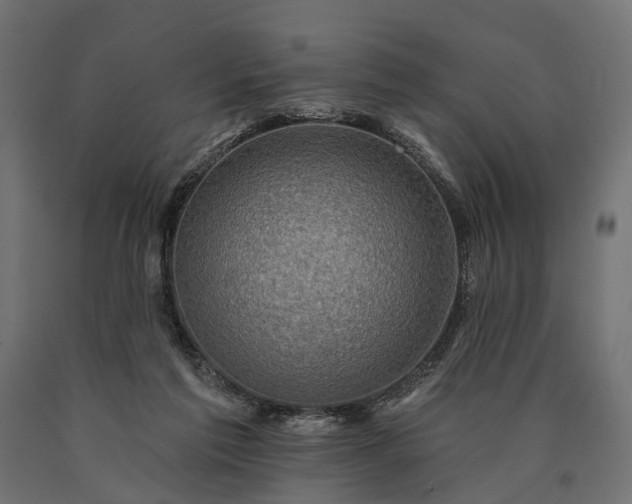 X0000090730213200708031531