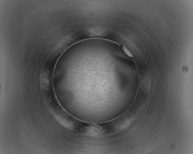 X0000090730215200708031531