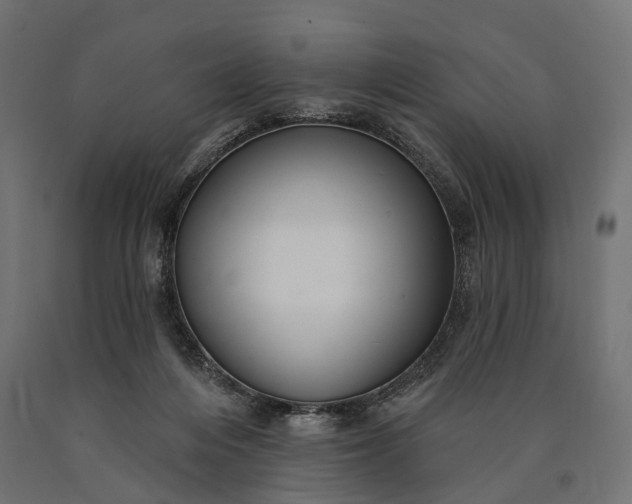 X0000090730216200708031531