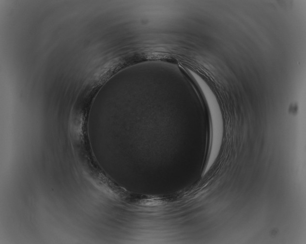 X0000090730219200708031531