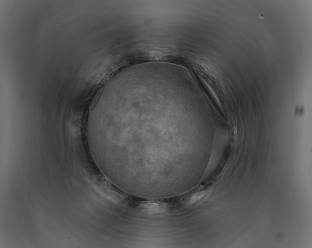 X0000090730221200708031531