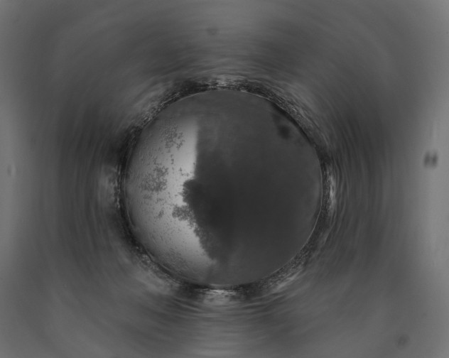 X0000090730222200708031531