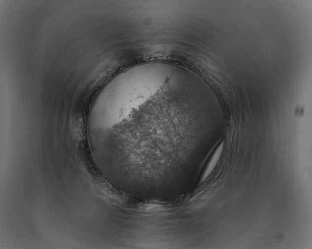 X0000090730224200708031531