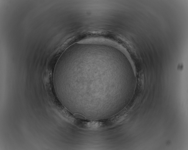 X0000090730225200708031531