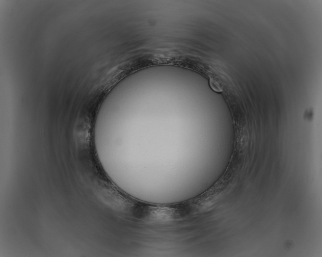 X0000090730226200708031531