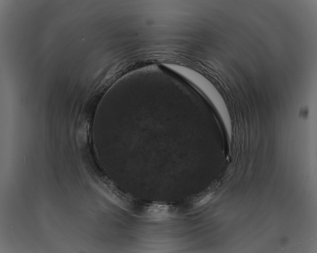 X0000090730227200708031530