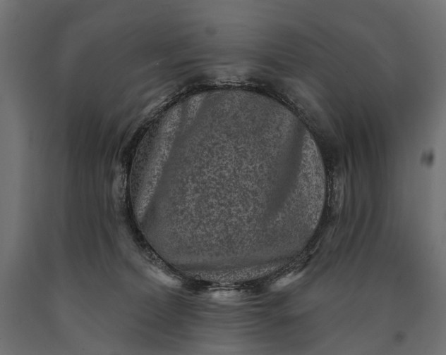 X0000090730228200708031530