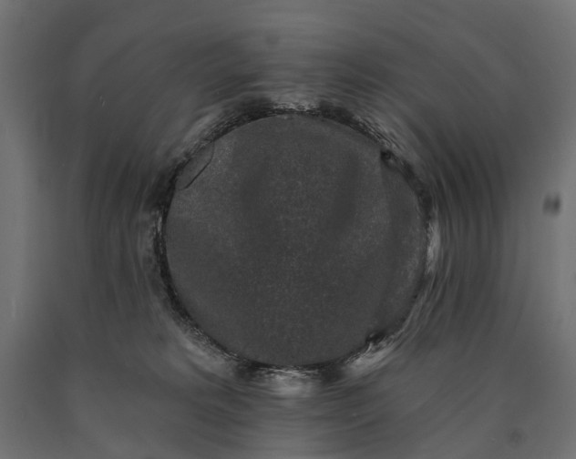 X0000090730229200708031530