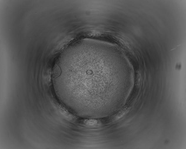 X0000090730230200708031530