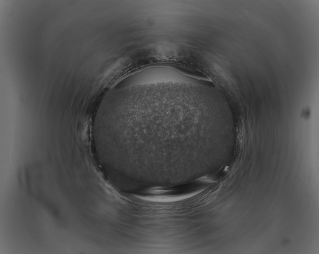 X0000090730233200708031530