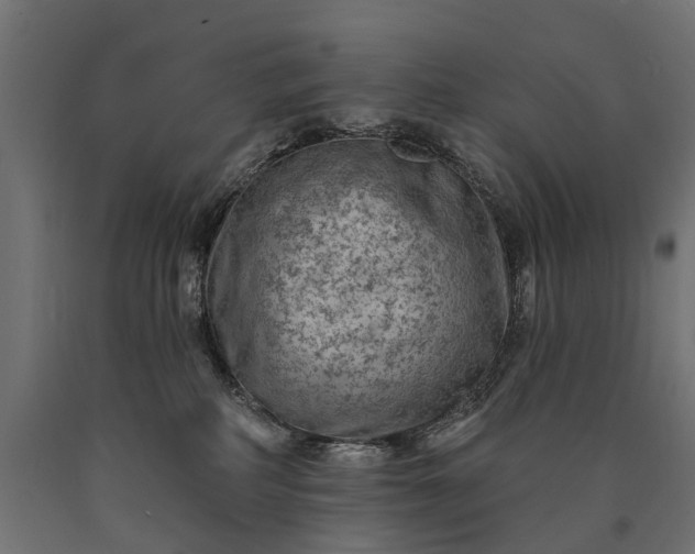 X0000090730234200708031530