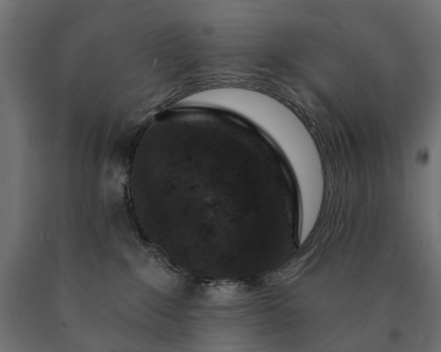 X0000090730235200708031530