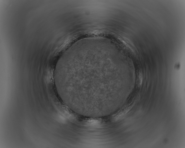 X0000090730236200708031530