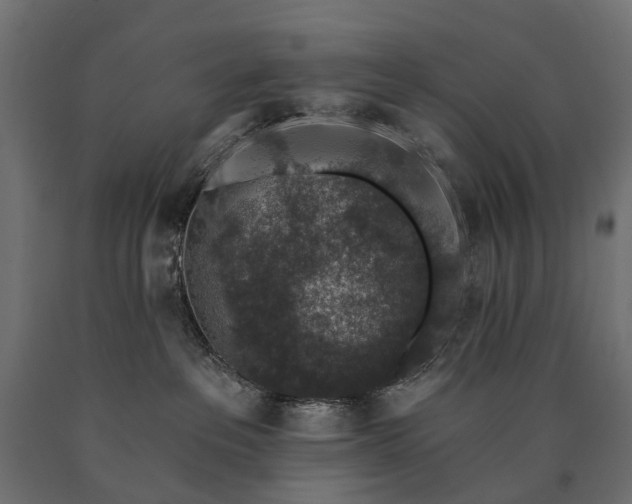 X0000090730237200708031530