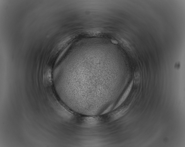 X0000090730238200708031530