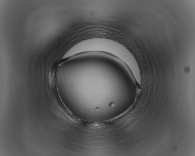 X0000090730239200708031530